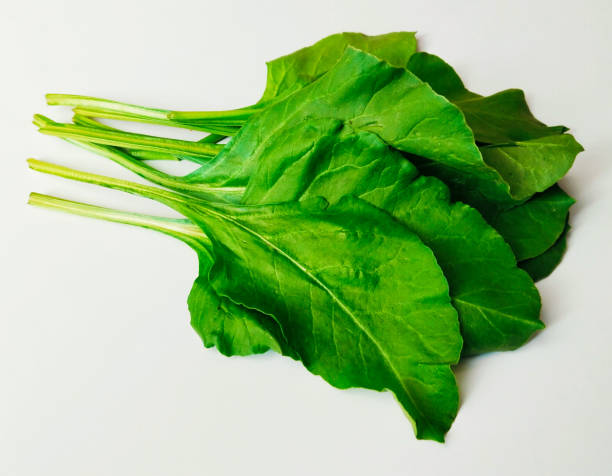 Spinach leafy green vegetable food agriculture crop palak spinacia oleracea epinarde spinate spinace edible organic fresh raw uncooked annual plant leaves closeup stock photo. stock photo