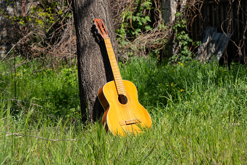wooden brown guitar lies in wildflowers in spring in Ukraine