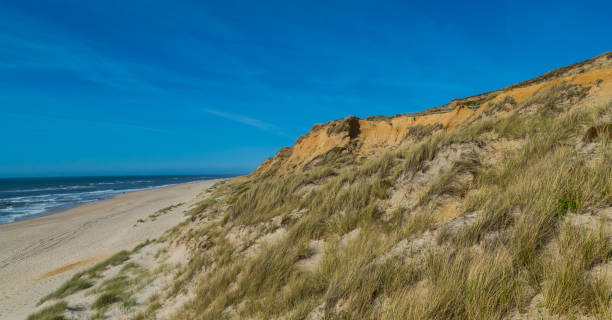 istock Dune Edge with Seascape Sylt Germany 1446730722