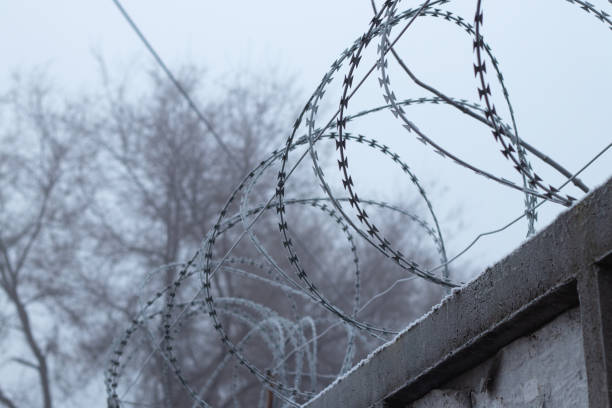 istock barbed wire against the sky close up 1446731363
