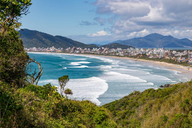 istock Vegetation, mountains and beach in Bombinhas 1446731740