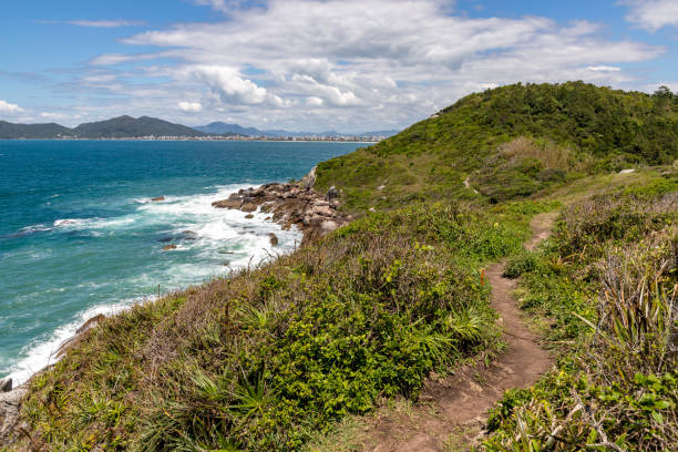 istock Trail to the beach in Quatro Ilhas beach 1446731788