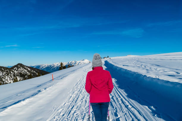 istock Trekking in Alps of Germany 1446732882