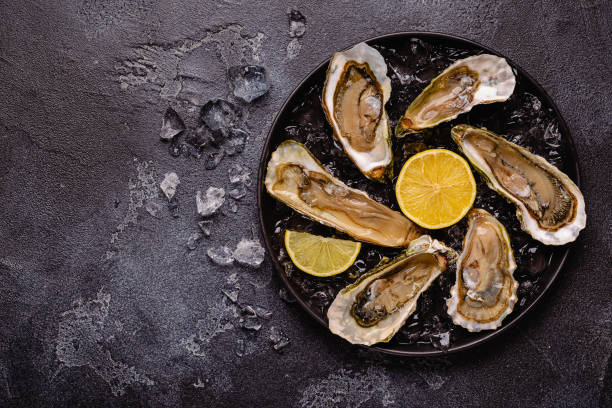 istock Opened fresh oysters on a plate, served with lemon and ice. 1446734209