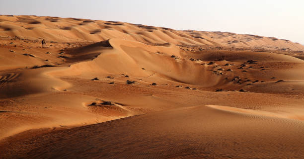 istock Wahiba sand dunes, Oman 1446737099