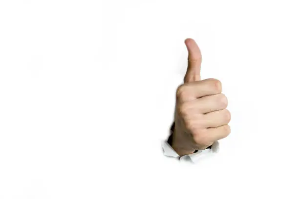 Photo of Thumb at the top on a white background.