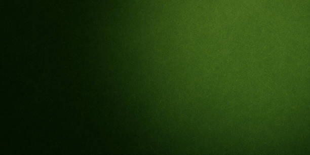 istock Green grunge background texture. Christmas background 1446740974