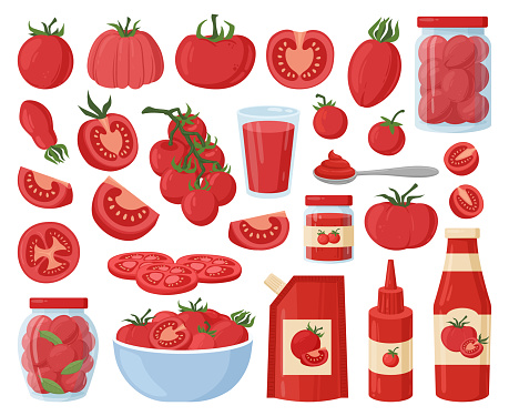 Cartoon tomato food ingredient, red vegetables and ketchup. Cherry tomatoes, sliced and chopped vegetables and tomato in bowl flat vector illustration set. Tomato ingredient collection