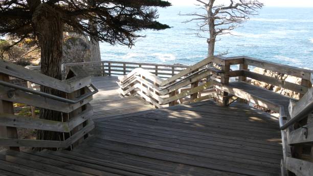 escaleras de madera a lone cypress, 17 millas en coche, monterey, california. pinos. - big sur cypress tree california beach fotografías e imágenes de stock