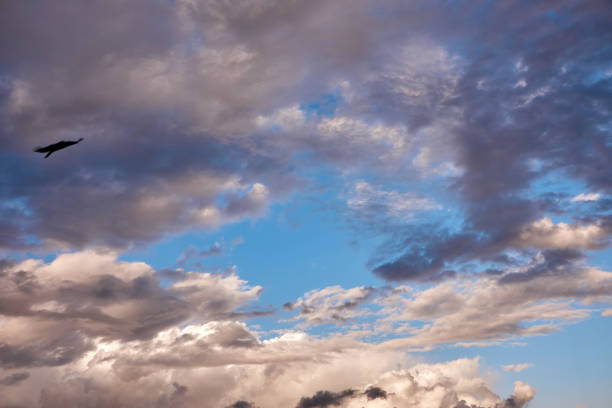istock very beautiful blue sky with rain clouds 1446749776