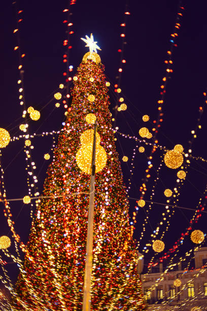 istock Illuminated Christmas tree in fairy lights. 1446750044