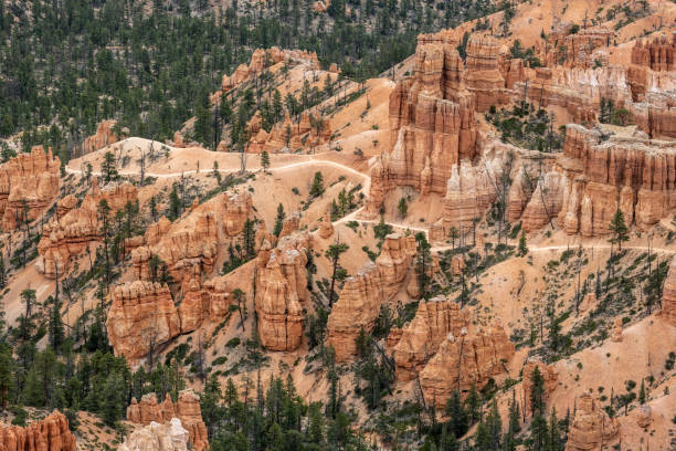 istock Trail Follows A Ridge Down Into the Forest and Hoodoos 1446752334