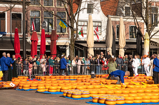 Alkmaar, Netherlands, March 25, 2022; At the traditional cheese market in the center of Alkmaar, the sales process of the large round yellow Dutch cheeses is watched with great interest.