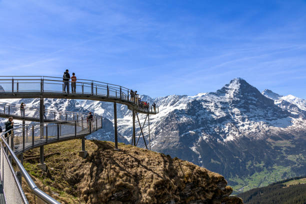 그린델발트 근처 스위스 알프스의 첫 번째 절벽 산책 - jungfrau switzerland hiking bernese oberland 뉴스 사진 이미지