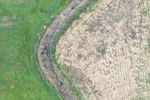 istock Rural landscape, fields, meadows, streams view from the drone. 1446754926