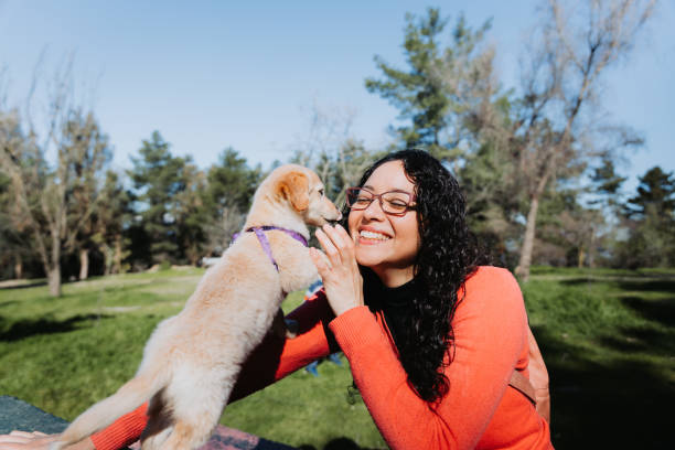 Young woman playing with her puppy in a public park. stock photo