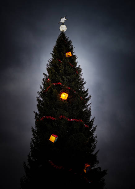 istock Low angle view of christmas tree against sky at night 1446755140