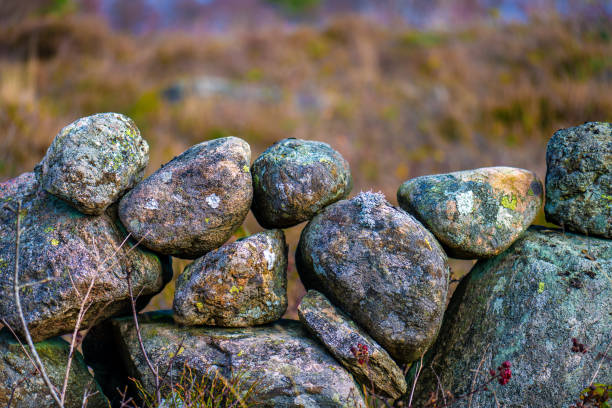 istock Old stone fence  by an open field.. 1446755274