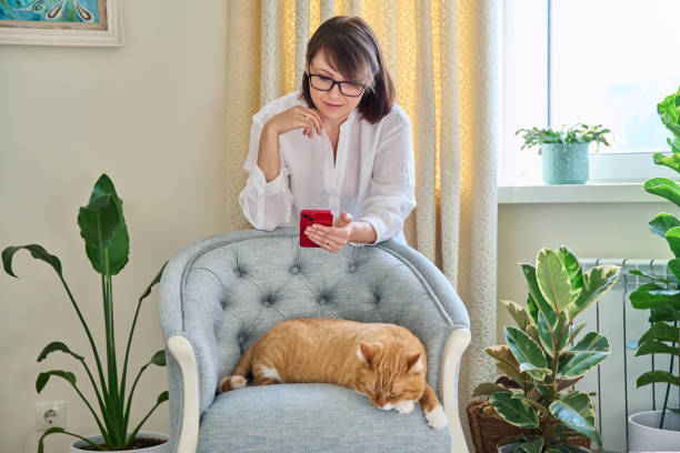 istock Woman using smartphone, in home interior with sleeping cat, houseplants 1446755627