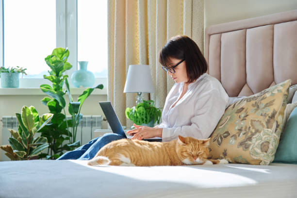 istock Mature woman using laptop sitting on couch at home, with relaxed sleeping ginger cat 1446756435