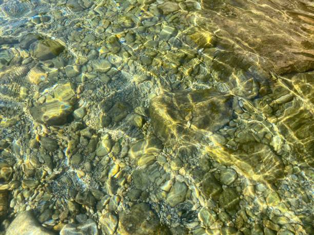 istock Sea clear transparent water with pebbles stones at the bottom. 1446761777