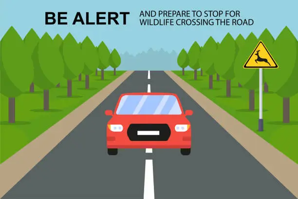 Vector illustration of Be careful and prepare to stop when wildlife, deer, cross the road. Vector illustration