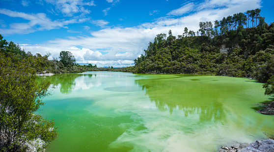 Vibrant green water of Lake Ngakoro in Waiotapu Thermal Wonderland park in New Zealand