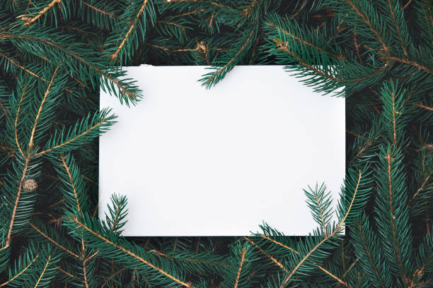 istock Christmas composition made of Christmas tree branches with paper card note. 1446764389