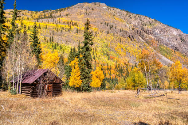 istock Abandoned Cabin in Capitol City, Colorado 1446764488