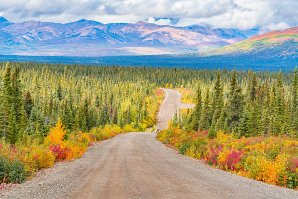 istock Long view of the Denali Highway 1446764569