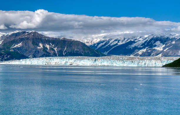 istock Terminus of Hubbard Glacier, Alaska 1446764590
