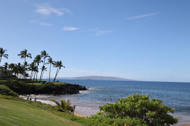 istock Trip to Hawaii in November 2022 1446769042