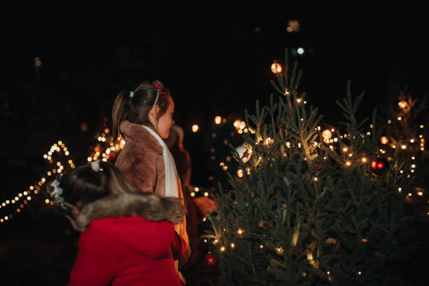 istock Young sisters decorating a real pine tree outdoors 1446770676