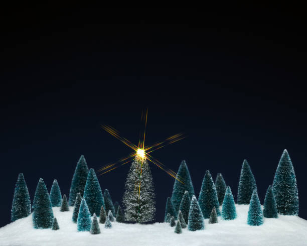 istock Miniature tree decorations with a sparkling star on Christmas tree. 1446773002