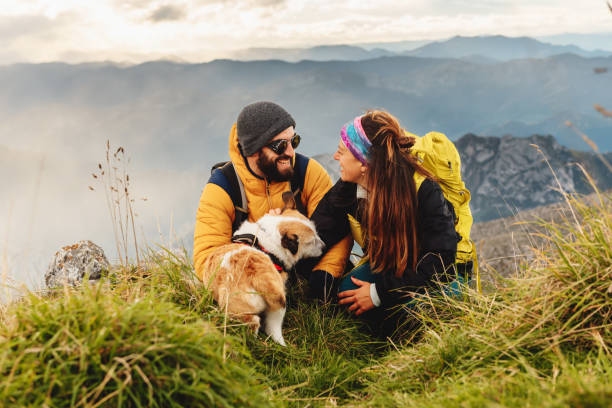 istock travel with pet 1446782415