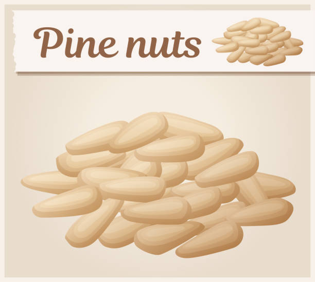 ilustraciones, imágenes clip art, dibujos animados e iconos de stock de pila de piñones sin cáscara icono vectorial - pine nut illustrations