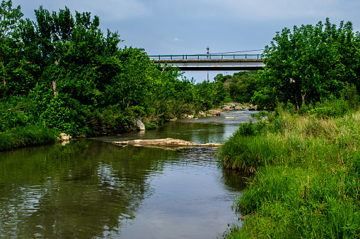 Reflections on  the river