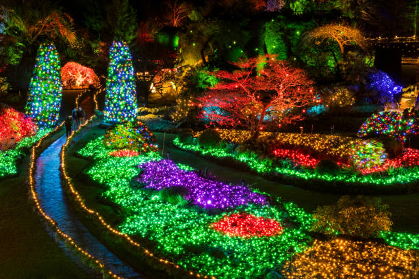 lumières de noël au sunken garden, butchart gardens, victoria, colombie-britannique canada - buchart gardens photos et images de collection