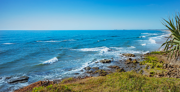 Point Arkwright Turtles Ocean View Point Arkwright Stock Photo - Download Image Now - Australia ...