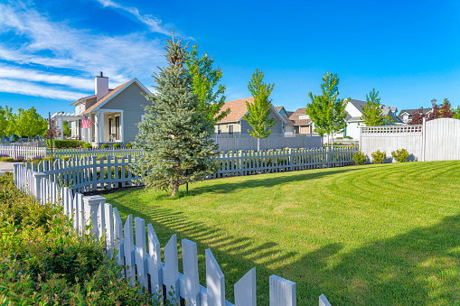 White picket fence of a yard with green lawn and pine tree at Daybreak, Utah. There are fenced houses with large yards across the street and sidewalk with trees.