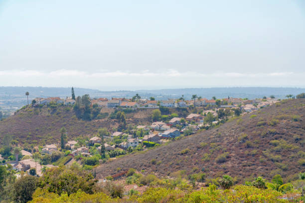 istock Residential homes on a mountain with bushes and trees 1446800156