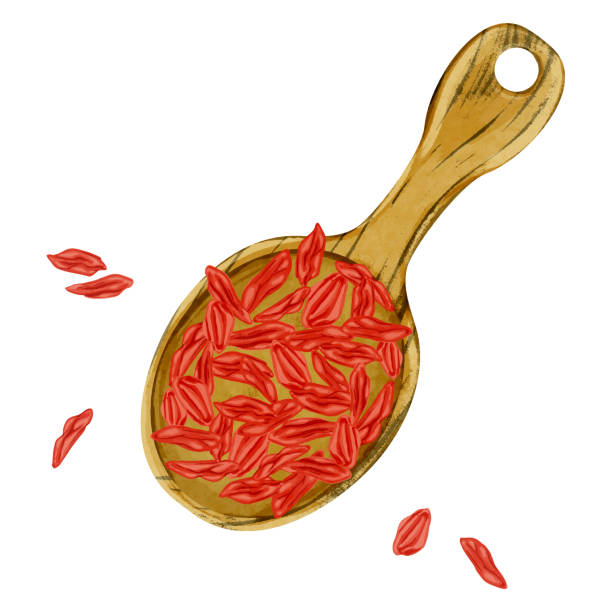 ilustrações, clipart, desenhos animados e ícones de ilustração da aquarela desenhada à mão da medicina herbal chinesa em uma colher (wolfberry chinês) - wolfberry