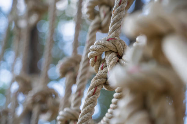 istock climbing a net Close up climb net rop select focus green nature background. 1446803110