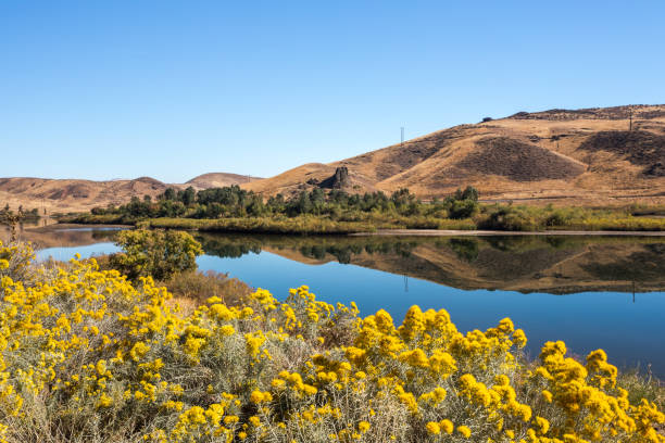 istock Black Canyon area. Beautiful reflection in Payette River, Idaho 1446806916