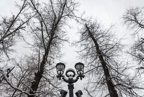 A street lamp and bare trees in winter in Khimki, Moscow region, Russia.