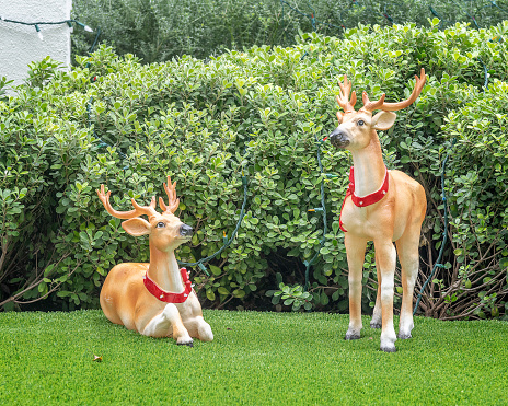 Two reindeer lawn decoration statues stand in a front yard.
