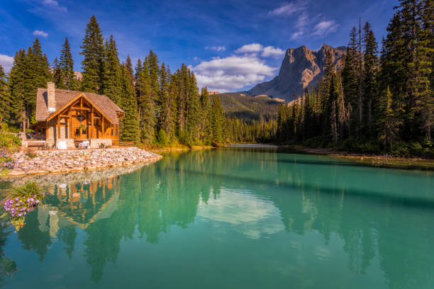 Emerald Lake in Yoho National Park Emerald Lake in Yoho National Park in the Canadian Rockies log cabin stock pictures, royalty-free photos & images