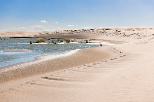 Freshwater rainwater lagoon formed in the dunes of Cidreira beach with vegetation in the water and blue sky on a sunny day