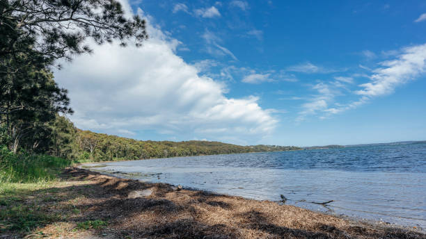istock A sunny but windy lakeside view. 1446822948