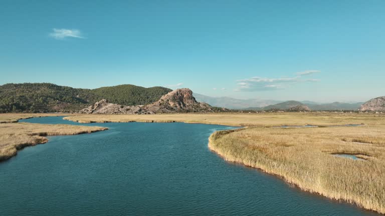 Dalyan Delta